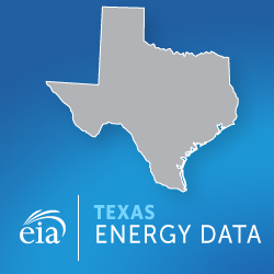 Texas Energy Outlook